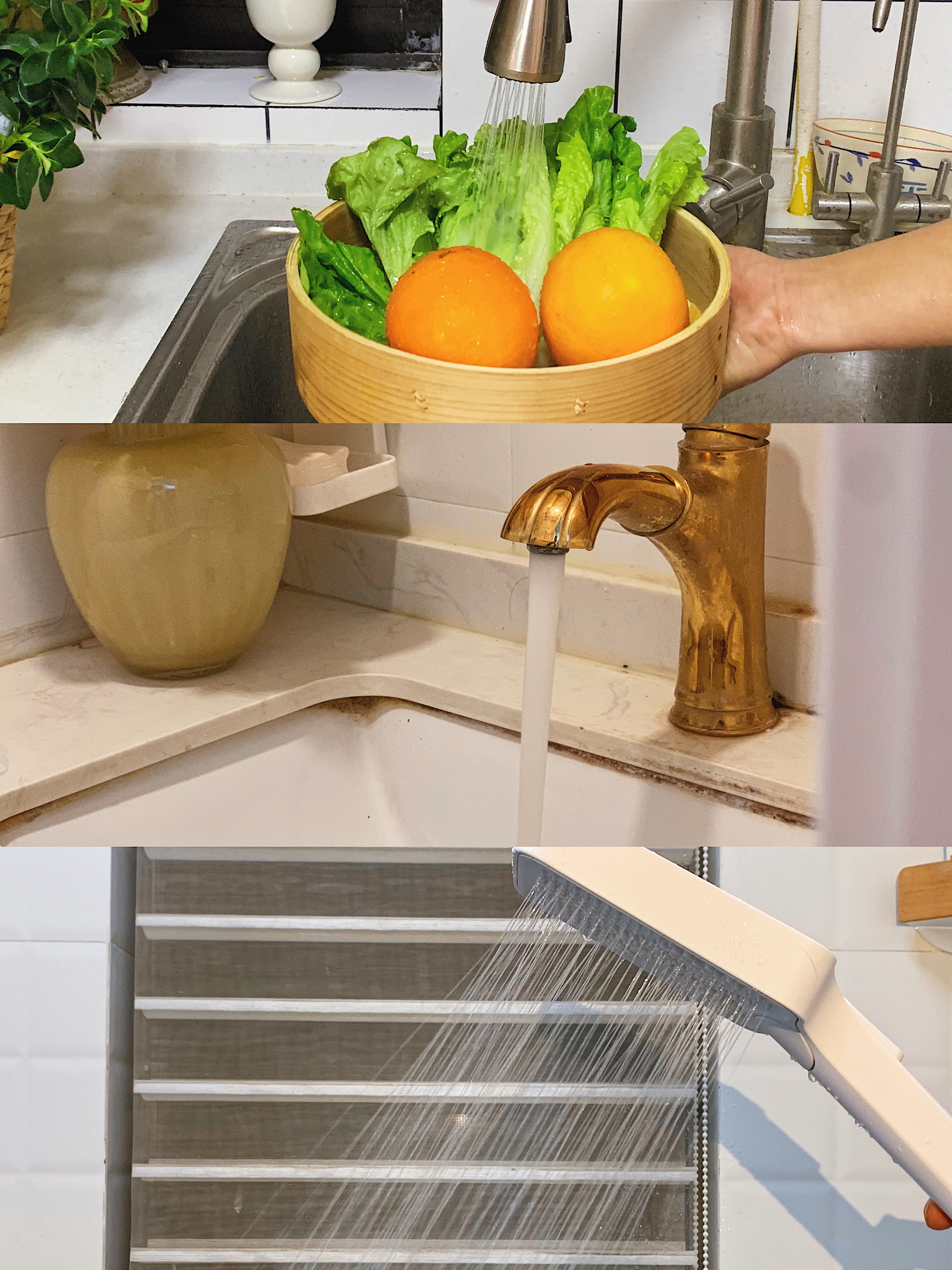 2024-12-05 100355.jpg 2024-12-05 100355.jpg