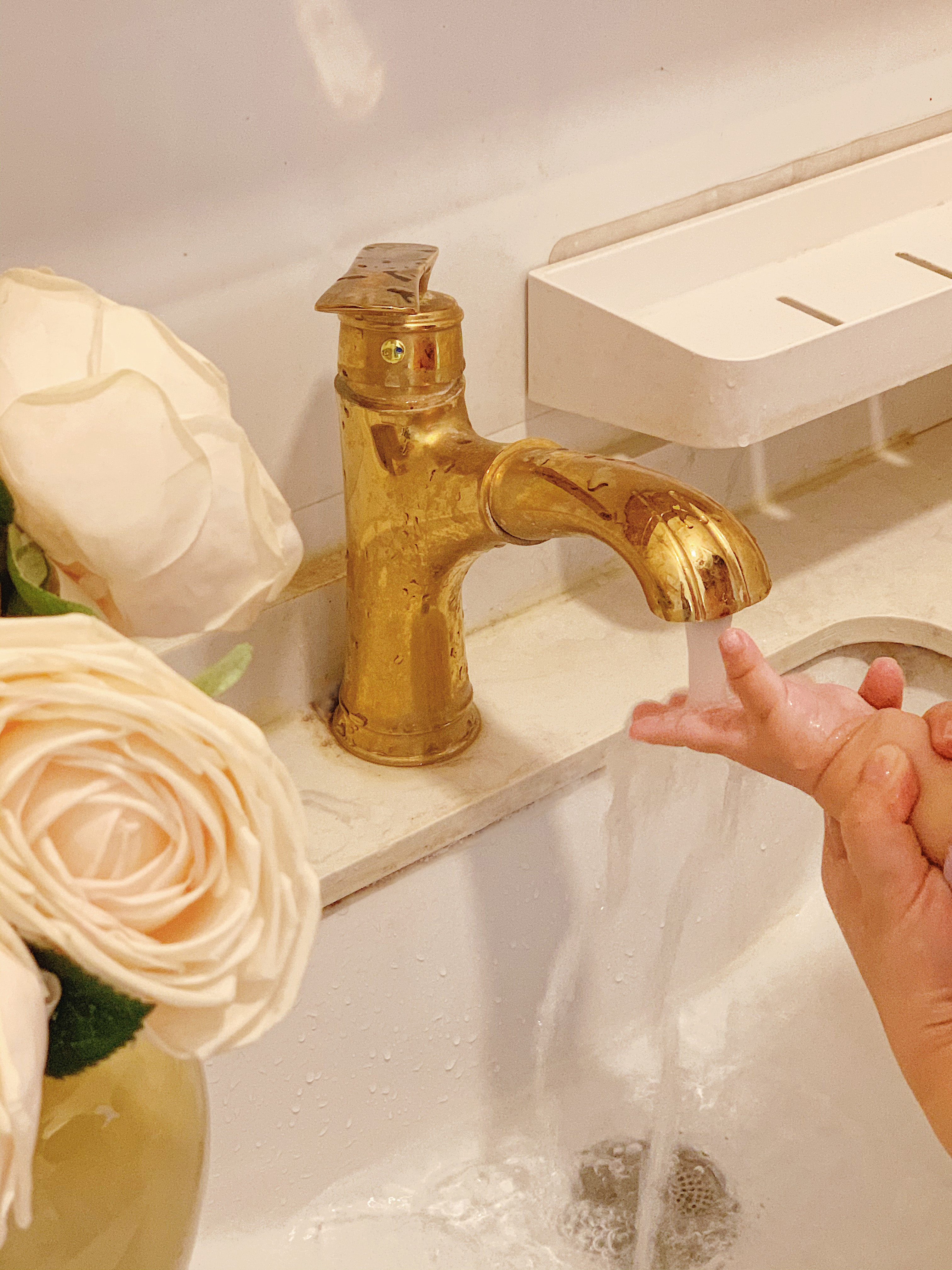 2024-12-06 133620.jpg 2024-12-06 133620.jpg